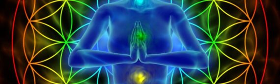 Renew Your Body, Mind and Spirit by Balancing Your Chakras